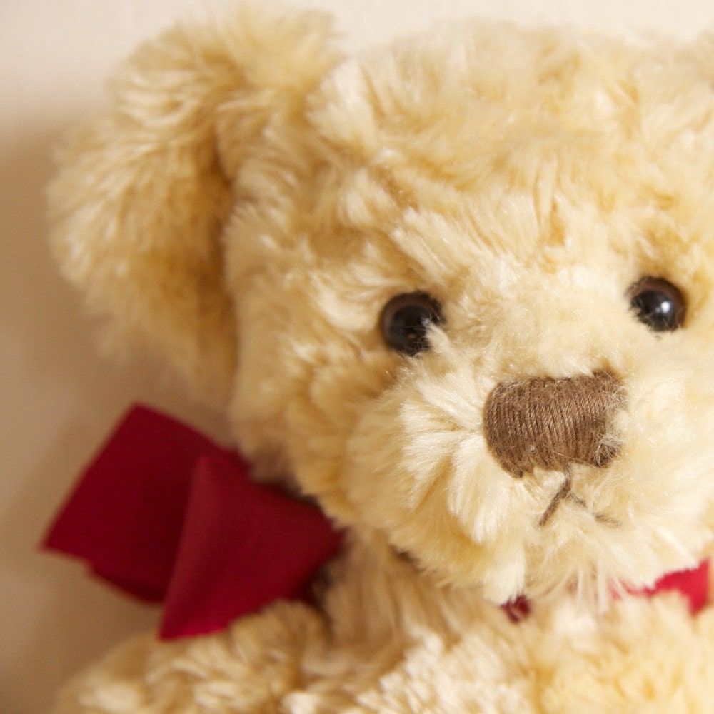HALF PRICE Vintage Spencer Bear
