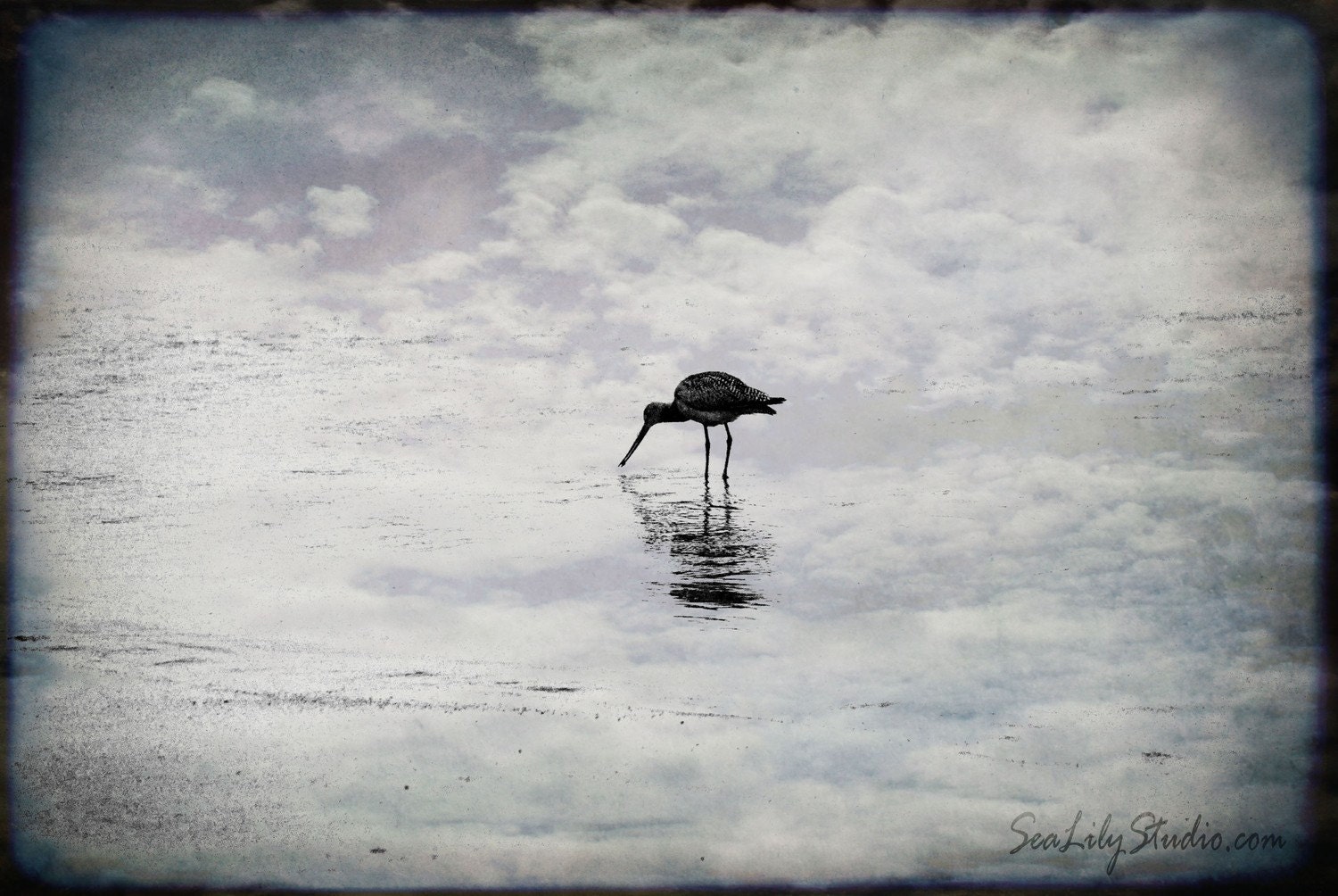 Solitude - 8x10 - Surreal Photography - SeaLilyStudio