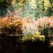 Secret Garden - 8x10 Fine Art Print