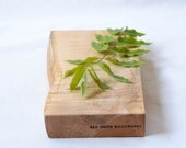 Cocktail Bar Cutting Board with a Natural Edge 631, Ready to Ship