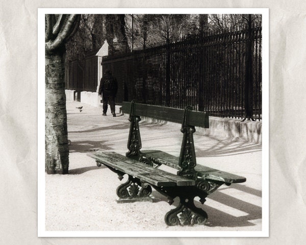 Paris bench photography, 5x5 print, green, sepia, vintage, city view, urban, bank, french, France, travel, park, rest for two