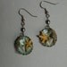 Seahorse & Starfish Earings