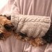 Turtleneck Dog Sweater