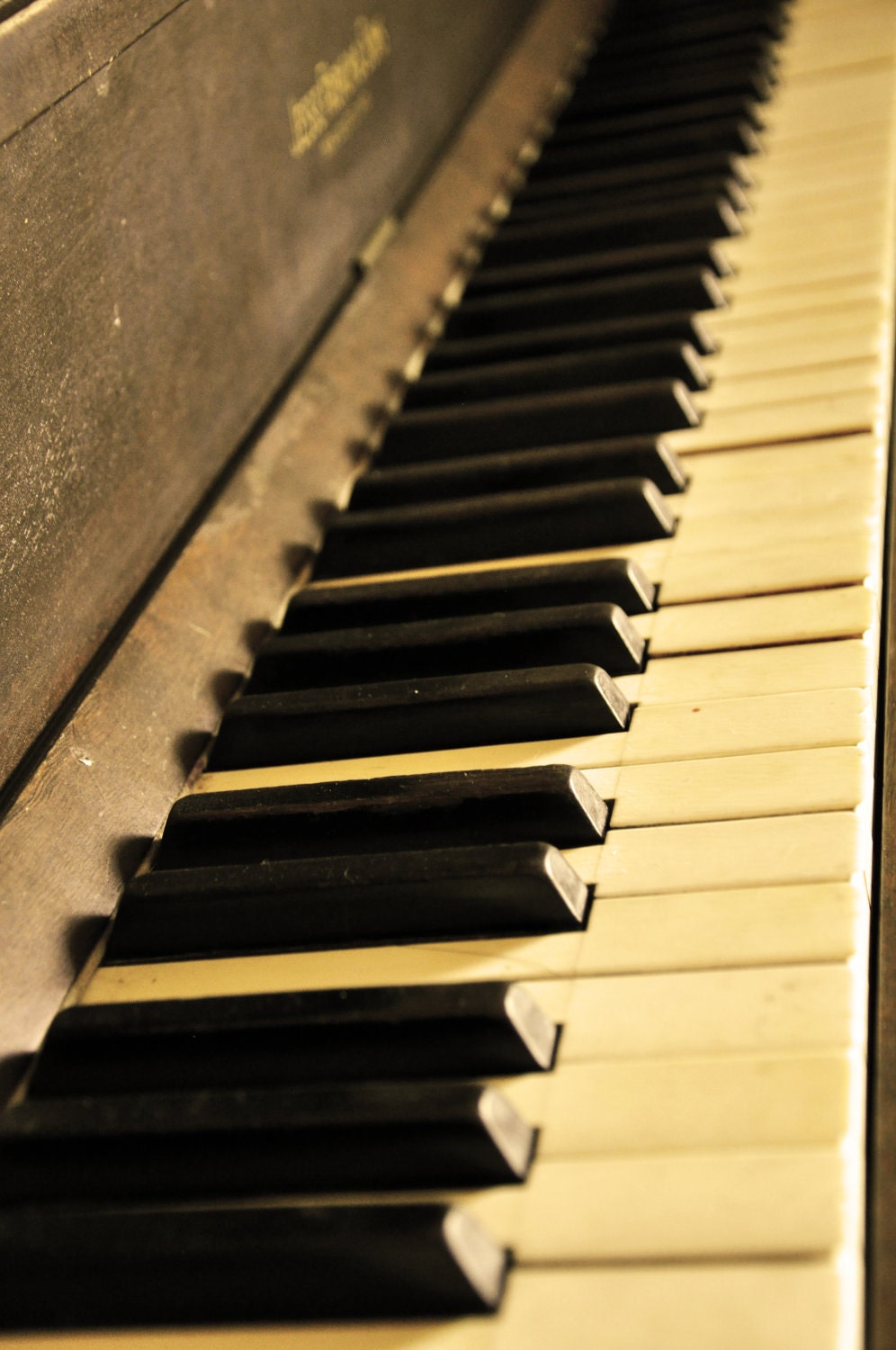 Bare Old Keys 8x10