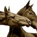 Kiss Kiss sepia horse photograph, Cottage Decor, size 12x8, Fine Art Horse Photography