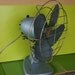 I'm a small metal fan