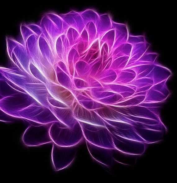 Fractal Fractal Art Flower Photography by PhotoCatcher on Etsy