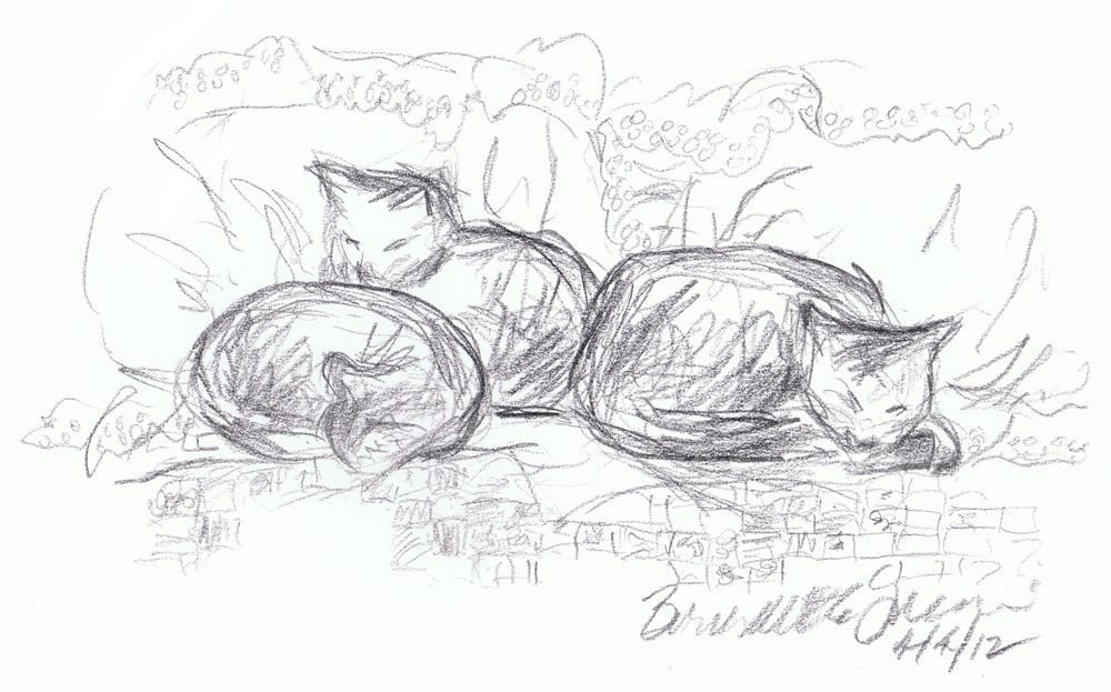 Curled on the Bed, Digital Print