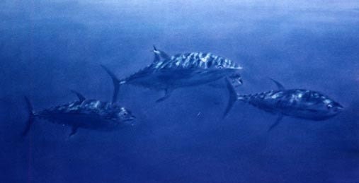Blue Tuna, Original Pastel