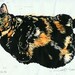 The Tortie Cats Set, both The Goddess and The Roundest Eyes