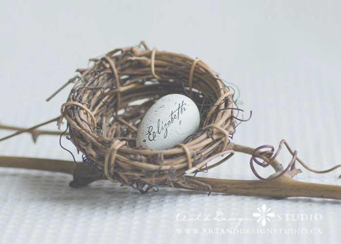Personalized gift - baby name in art - Nest with Egg - Nursery Art - 8x10