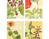 Floral Digital Collage Sheet Gift Tags ACEO ATC Background Printable Image Altered Art ATC115