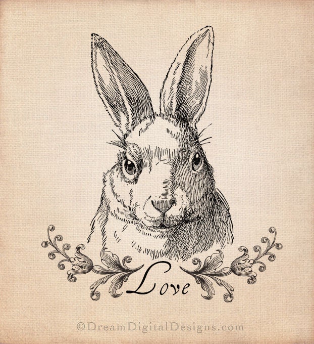 Bunny Rabbit Digital Collage Sheet for Fabric Transfers Papercraft Home Decor Crafts - Printable Image INSTANT DOWNLOAD No.279