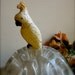 Victorian celluloid parrot baby rattle
