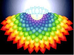 RENEW Your BLISS-  Essential Oil Blend of Orange Color Therapy -Lift Your Mood- LOSE those Bues-Sacral Chakra Balancing, Natural