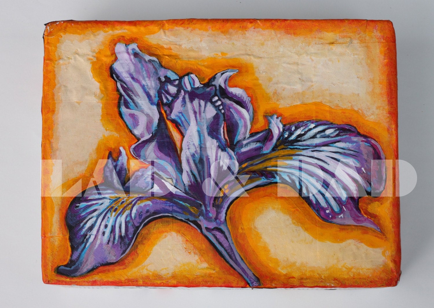 Iris
