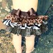GIRLS Safari Ruffled Bottom Bloomer 2t, 3t, 4t
