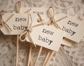 New Baby Cupcake Sticks - buttercream and twine