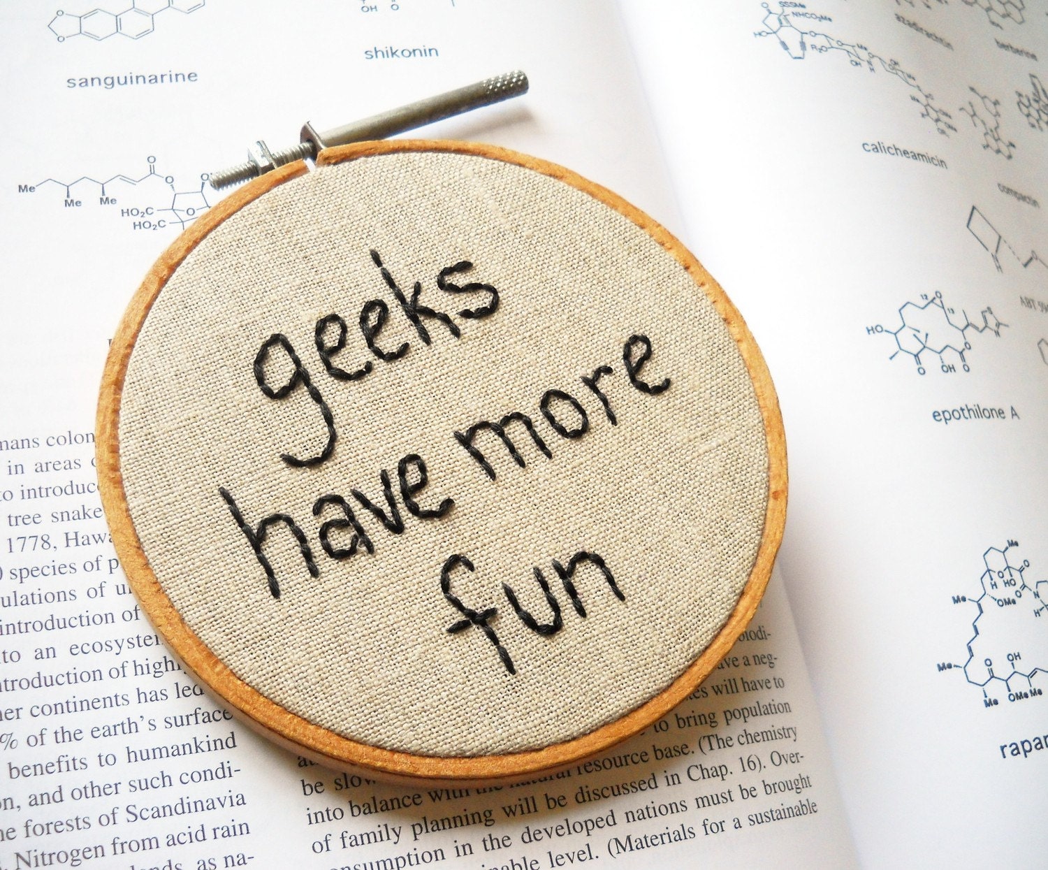 ON SALE - Geeks Have More Fun - Mini Embroidery Hoop Wall Art - Nerdy Science Quote - Computer Tech Chemistry Physics