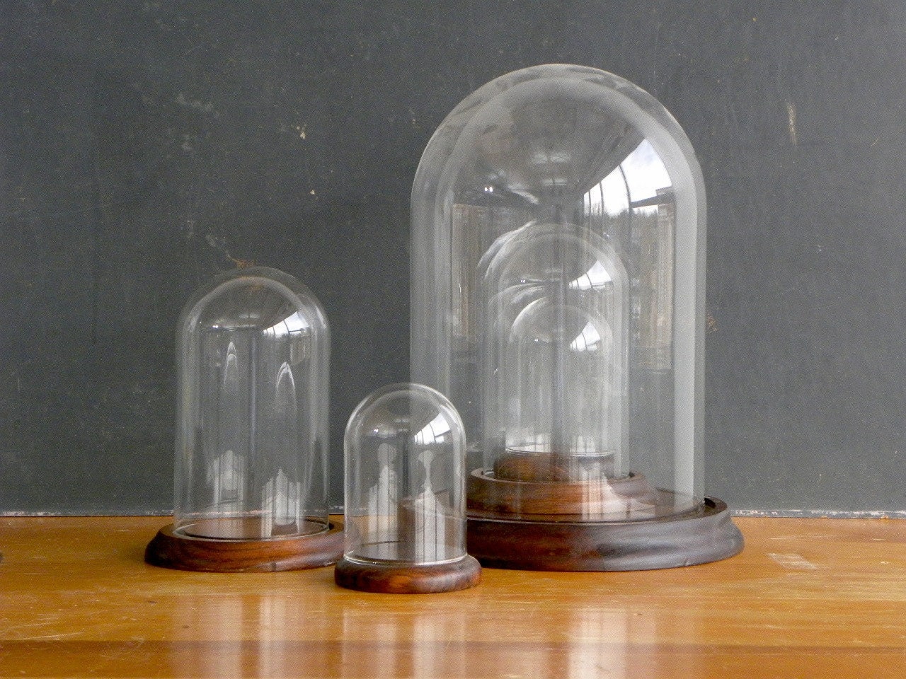 Medium Vintage Display Dome, Cloche, Glass Globe, Wooden Base, Scientific, Natural Curiosity