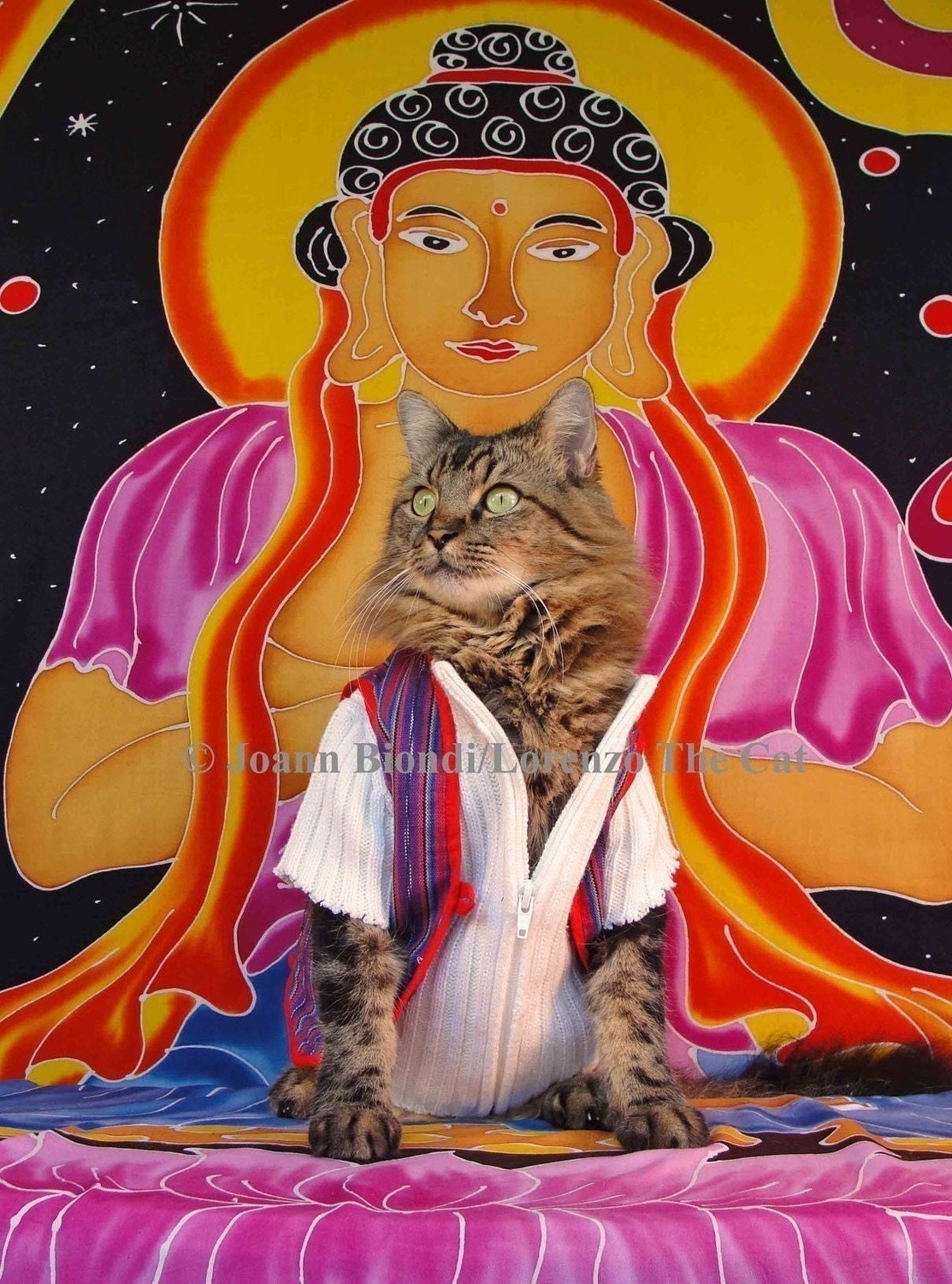 Buddha Puss Greeting Card