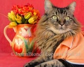Pink & Peach Greeting Card