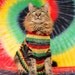 Rasta Cat 5 x 7 print