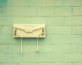 green, white, vintage mailbox, 8 x 10 photograph, home decor