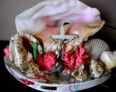 Vintage Florida Conch Souvenir Nostalgic 50's Kitsch Road Trip Prize
