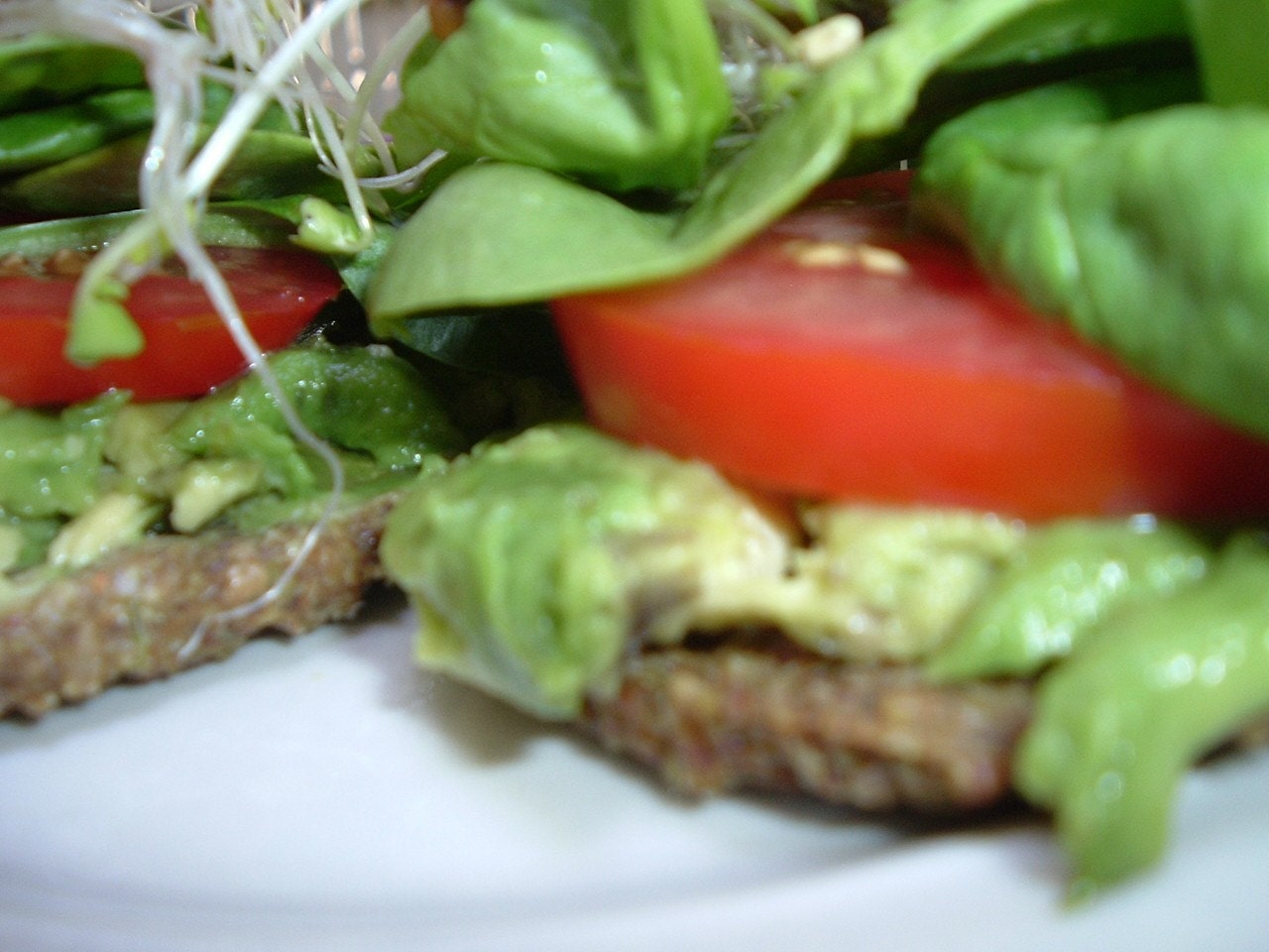 Raw Vegan Veggie Burgers