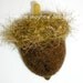 PATTERN-BOOKLET. A Knit & Felt Wool Acorn and Oak Leaf Pattern