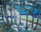 Monhegan Coast Winter 2011