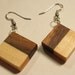 Handcrafted earrings in black walnut and sugar maple