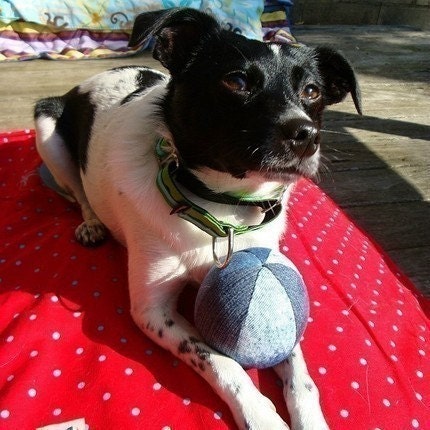 Personalized Recycled Denim Dog Squeaky Balls
