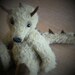 Timo, artist bear cute dragon