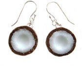 Coconut Earrings