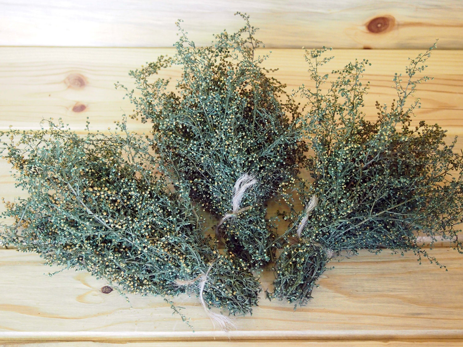 Preserved SWEET ANNIE Small Bunches - Perfect for Primitive Country Crafts