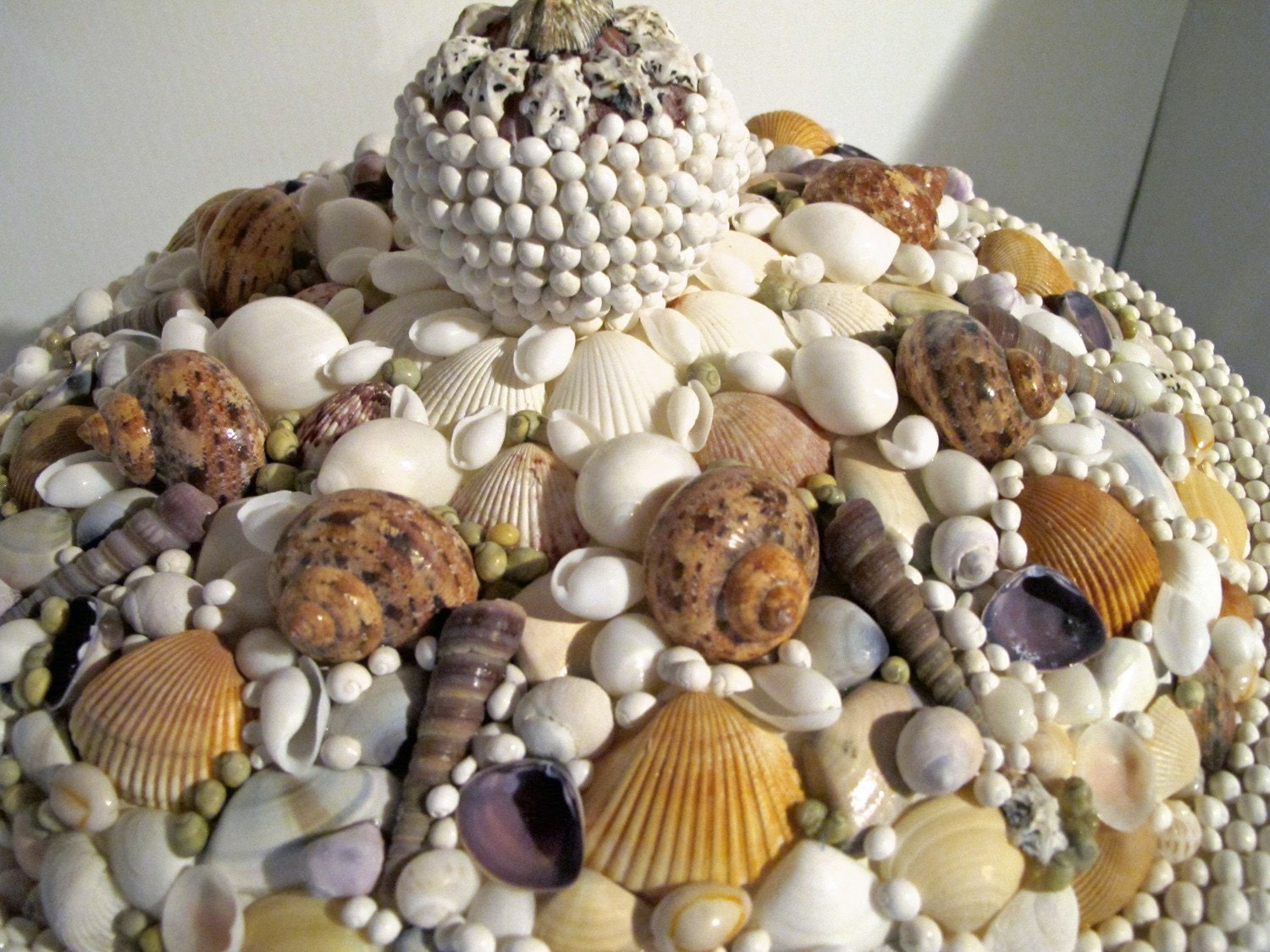 Seashell plant pot, table base