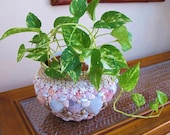 Seashell Planter