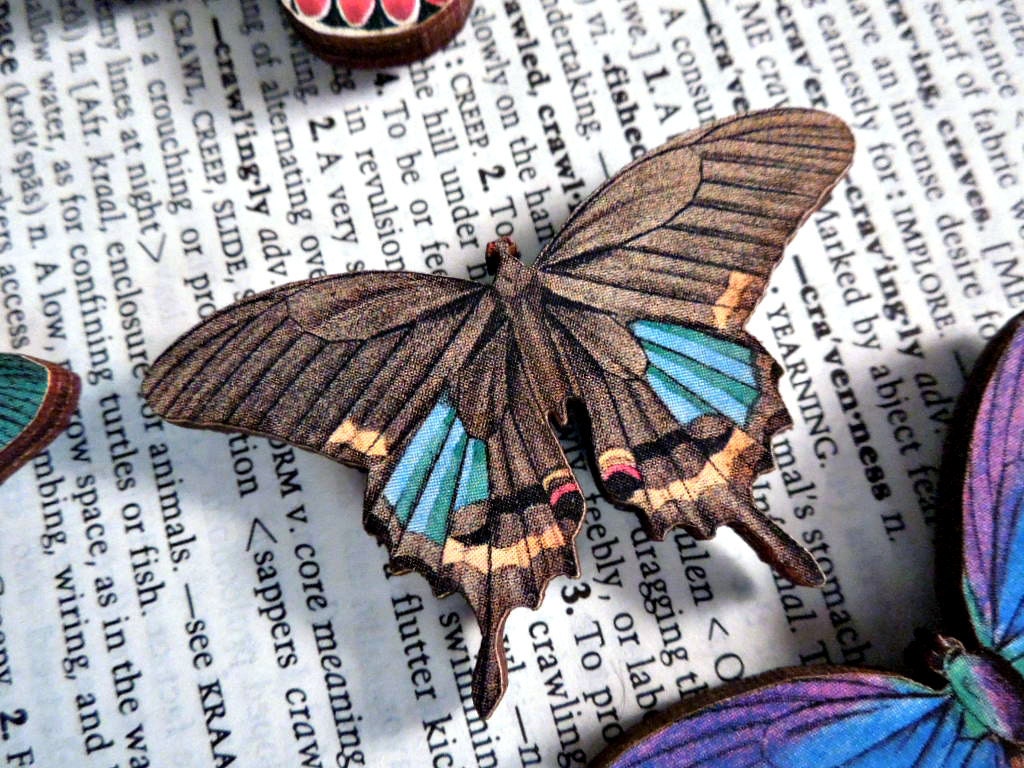 No. 5 Wooden Butterfly Magnet - One Brown Blue and Yellow Color Laser Cut Insect