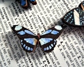 No. 11 Wooden Butterfly Magnet - One Blue and Black Color Laser Cut Insect