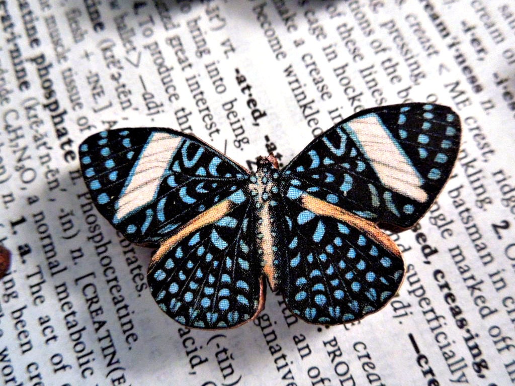 No. 14 Wooden Butterfly Magnet - One Blue and Black Color Laser Cut Insect