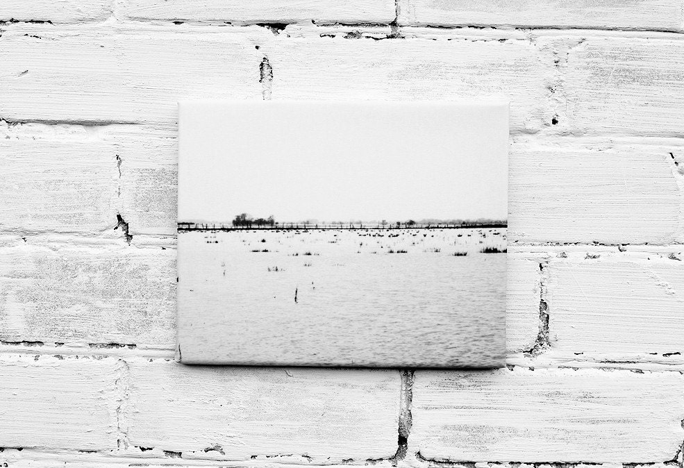 LAST ONE - Lost In The Fields - Limited Edition
