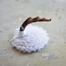 White Lace Mini Antler Masquerade Fascinator - OOAK