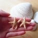 Aquamarine's Starfish Earrings Real Starfish Stud Earrings Starfish Studs Mermaid Earrings Mermaid Stud Earrings Mermaid Studs Cute Adorable