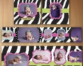Accordion Mini Album Photoshop Templates For Photographers 3x3 - Cutie Zebra Hotties, Black & Green - No 496