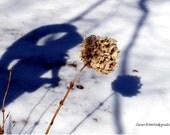 Angel photograph, Angel Shadow, guardian angel, photo greeting card, thinking of you, sympathy, protection, spiritual