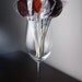 Red Wine