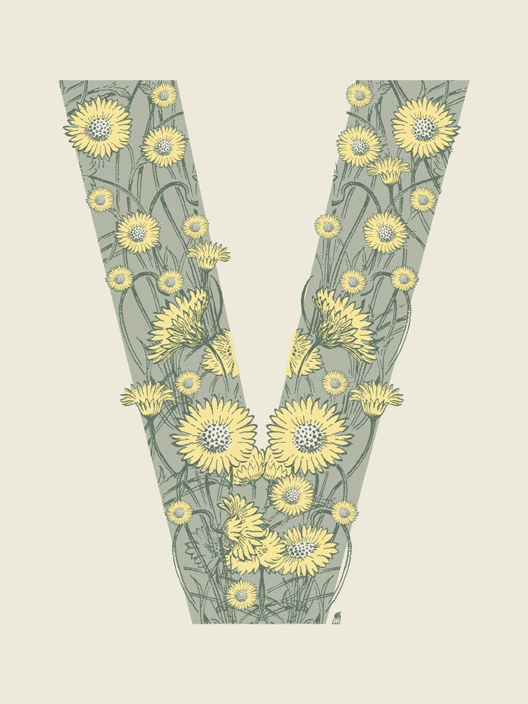 Letter V