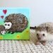 Nursery Decor, MAMALOVE HEDGEHOGS no.2, 5x5 Acrylic Canvas, Art for Children, Baby Decor, New Baby